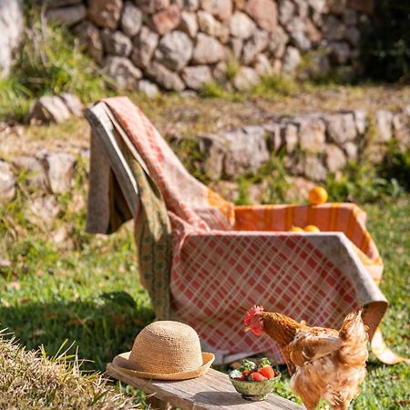 Agroturismo Son Viscos Valldemossa  Εξωτερικό φωτογραφία