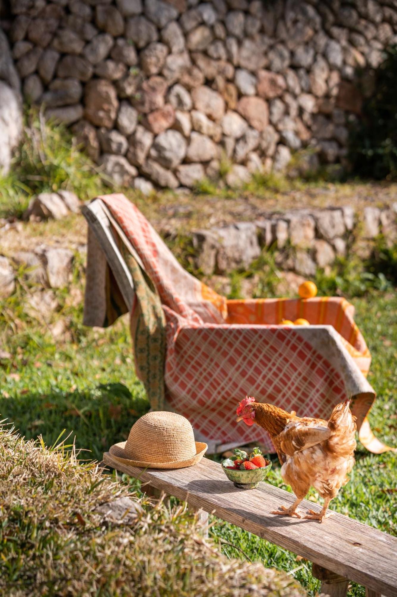 Agroturismo Son Viscos Valldemossa  Εξωτερικό φωτογραφία